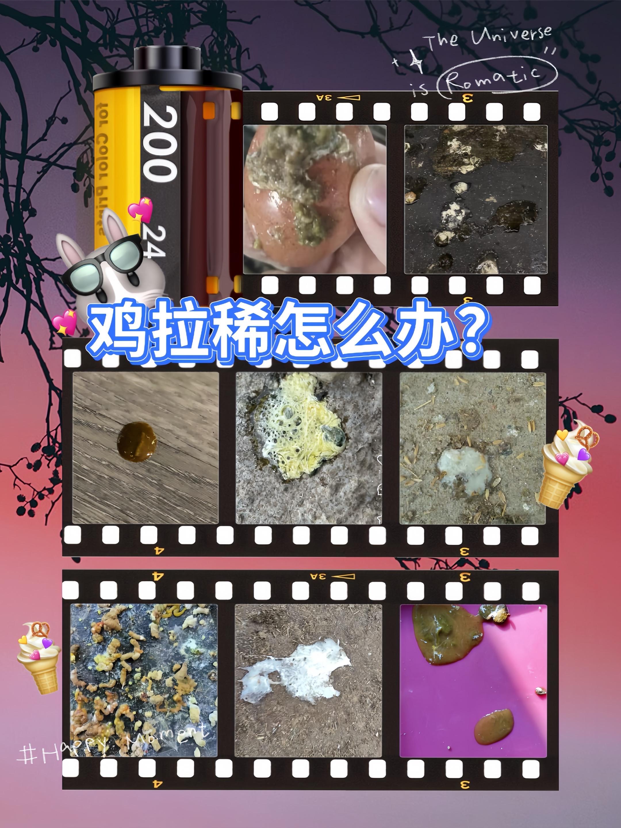 #鸡拉稀怎么治#养鸡#养鸡小妙招#三农养殖#鸡拉稀过料