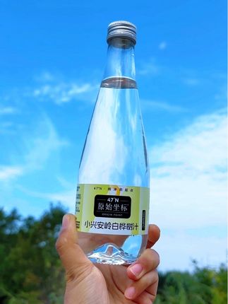 取自北纬47°小兴安岭的白桦树汁,喝了你就爱上的#白桦树汁 是真的好喝#原始坐标#饮料#小兴安岭白桦树汁 #好喝