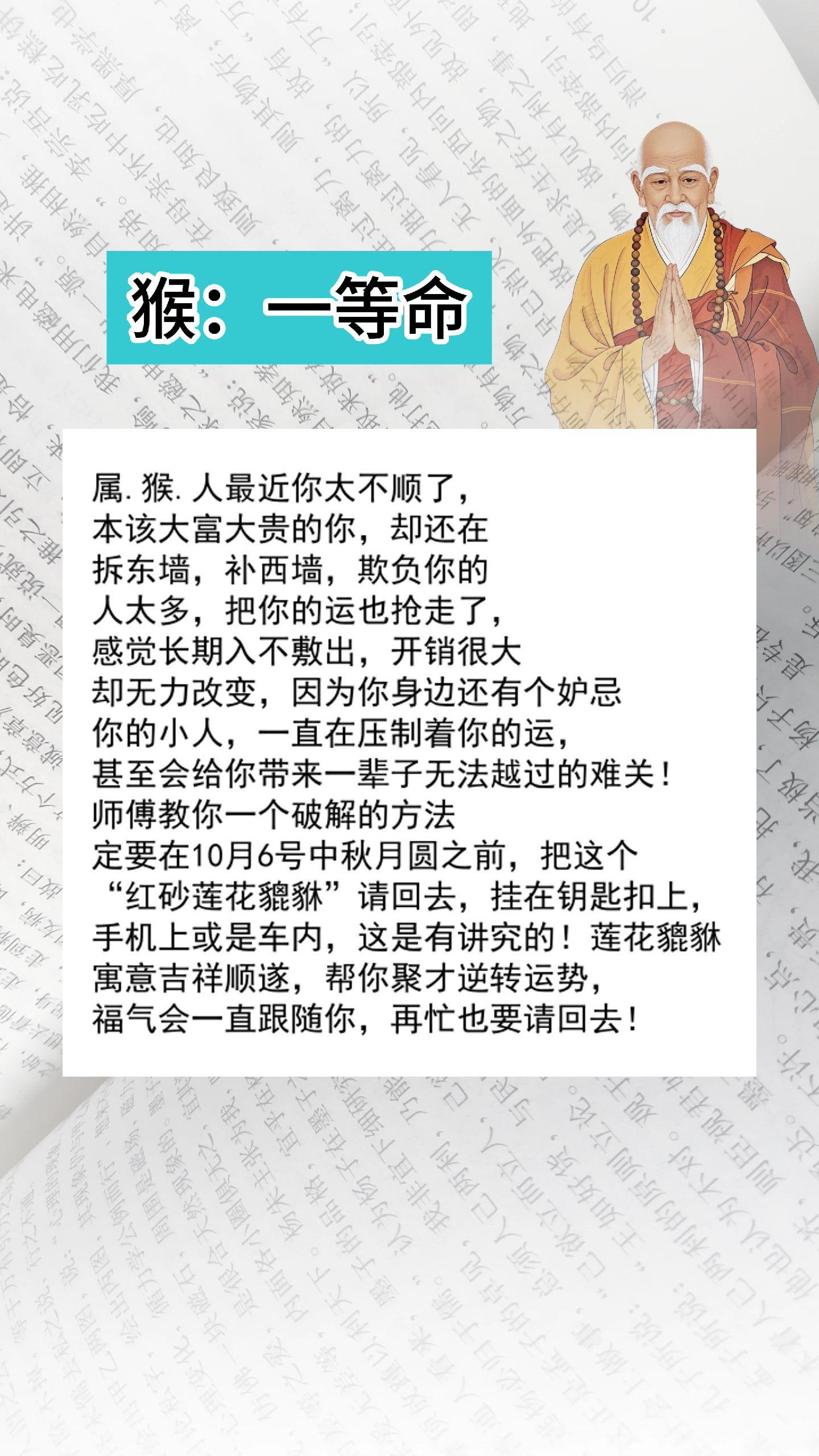 #猴 #属猴 #生肖猴