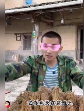 正宗龙胆草现磨龙胆草粉 整颗假不了#龙胆草 #龙胆草推荐 #龙胆草泡茶 #养生必备 #中药材