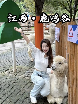 假期带姐妹们去鹿鸣谷玩真的太开心了,温泉➕动物园➕游乐场全拿捏!#国庆就去鹿鸣谷#假期去哪儿玩#国庆假期被安排明白了 #长沙周边游