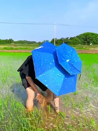 #户外头戴伞 #帽子伞 #雨伞太阳伞 #斗笠伞 遮阳#钓鱼伞