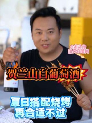 览翠【有机】白葡萄酒宁夏贺兰山东麓国产葡萄酒干白2023酒庄混酿#好酒推荐#性价比#葡萄酒#贺兰山白葡萄酒#微醺果酒@DOU+上热门 @DOU+小助手