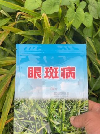 #种植小技巧 #种植技术 一亩地两桶水,叶面喷,4.天打一次