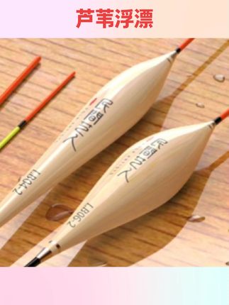 #好物分享 民间艺人芦苇浮漂加粗醒目野钓鲫鱼漂专用冬季轻口鱼漂高灵敏正品 #钓鱼用品 #钓鱼工具 #芦苇浮漂 #钓鱼配件