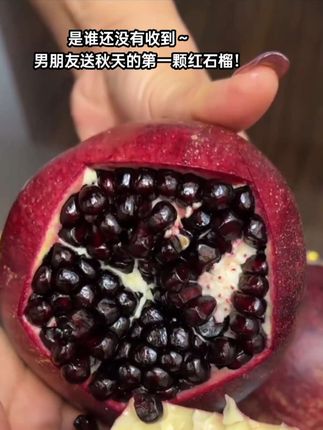 吃石榴不吐石榴籽的快乐谁懂?谁还没收到男朋友送的第一颗红石榴!#软籽石榴 #石榴红了 #石榴 #快来一起尝个鲜 #应季水果