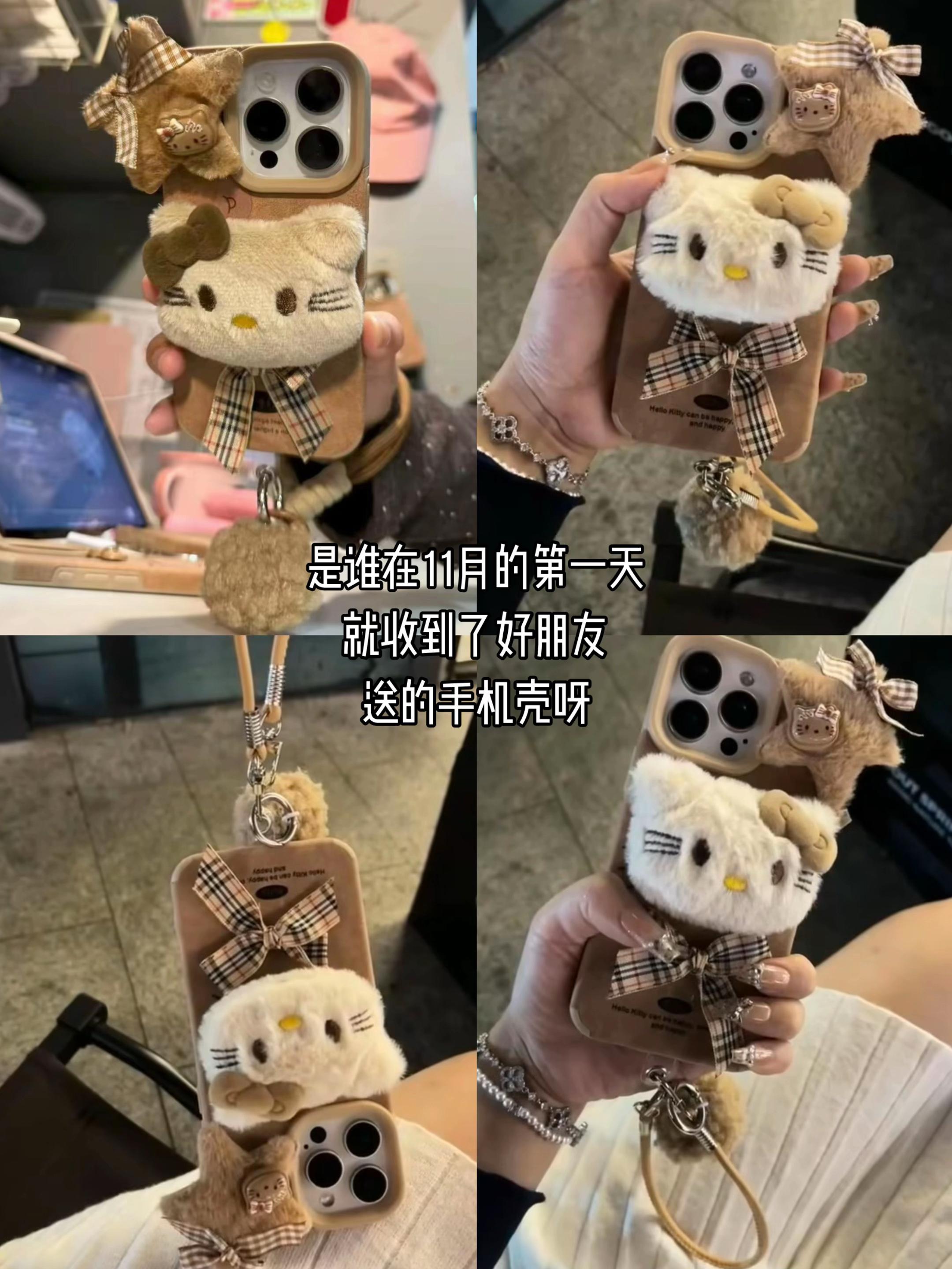 秋天的第一个手机壳是kitty耶。快艾特你的好朋友给你买!#专属冬天的手机壳 #毛绒kitty手机壳 #秋天必备#苹果17手机壳#苹果16手机壳