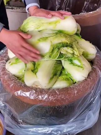 #酸菜袋子#加厚袋子#腌制酸菜袋#好东西一起分享 #好物推荐🔥