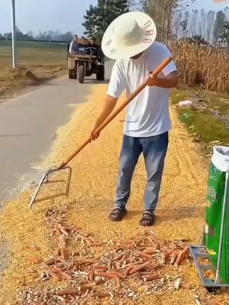 筛土铲不锈钢漏花生铲#方便又实用 #省时省力