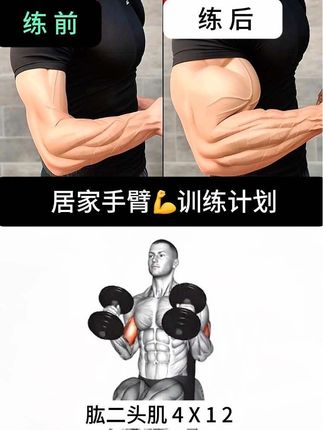 手臂训练计划,打造饱满肱二头肌💪自己瞎练一年不如学后练一个月,健身少走弯路#二头肌训练 #居家锻炼 #手臂训练 #二头弯举 #三头肌训练
