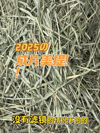 这个是成片的美提!!大垛不好保存,可以尝试下一片装的,自己给兔兔分装过更放心!!!最主要现在正是新到的美提,所以真的很新鲜!!!#兔子 #兔兔 #萌宠好物 #美提