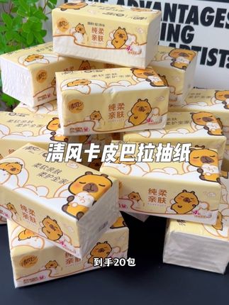终于等到清风和卡皮巴拉联名抽纸啦!到手一箱20大包#清风抽纸 #抽纸 #实用分享 #超便宜超划算 #好用的大包纸巾推荐