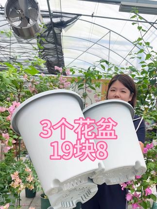 花盆给大家测试了很厚,结实耐用透水透气可以放心使用#爱生活爱养花 #植物养护技巧 #透气花盆 #分享家庭养花知识 #透气花盆