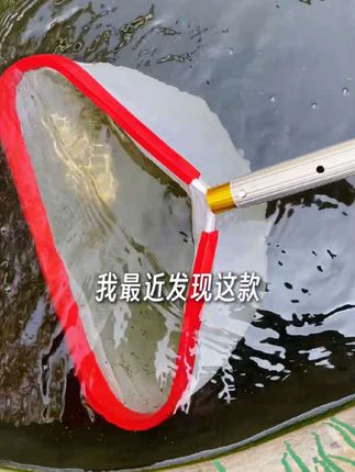 传统捞网捞不干净杂物怎么办?#养鱼 #清洁 #鱼池 #捞网