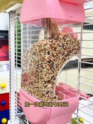 鹦鹉鸟食盒防撒自动下料器#养鸟 #抖音宠物 #鹦鹉食盒