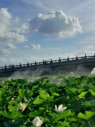 家人们洗脸巾福利来啦#超便宜超划算 #好物推荐🔥 #女生必备 #洗脸巾 #巨量千川