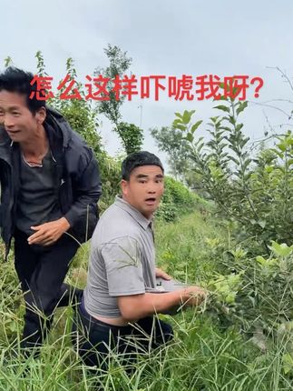 档档带我偷苹果,去拿袋子告诉我一下,怎么突然就跑了呀?把我吓尿了#偷苹果的大叔 #搞笑视频 #感谢抖音