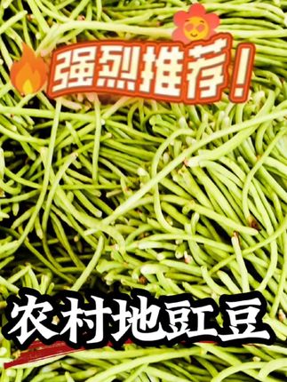 这样的地缸豆,你们喜欢吗?喜欢就点关注#抖音美食创作人 #乡村守护人 #抖音美食推荐官