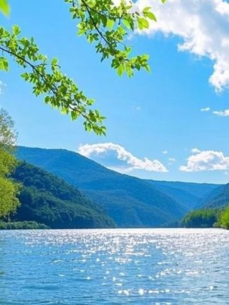 元气旺旺蛋【食代记忆】宠物零食犬猫通用营养蛋黄元气蛋蛋黄肉蛋#宠物 #犬猫通用 #萌宠 #猫咪 #狗狗