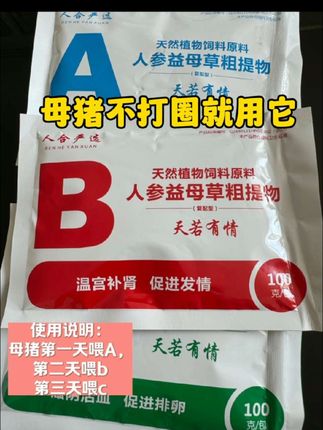 母猪不打圈就用它 #养猪人#养猪人不容易#养猪人加油干#自繁自养#母猪