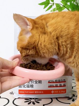 好吃还美毛的嘉传E85膨化猫粮,小猫闭眼大口炫~#吃货猫 #养猫新手 #科学养宠攻略 #嘉传e85