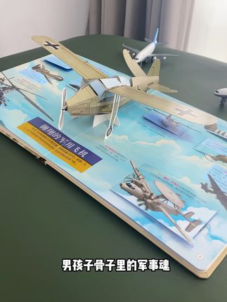 让孩子明白只有铁拳在手,才能护佑山河! #军事百科 #童书推荐 #男孩玩具