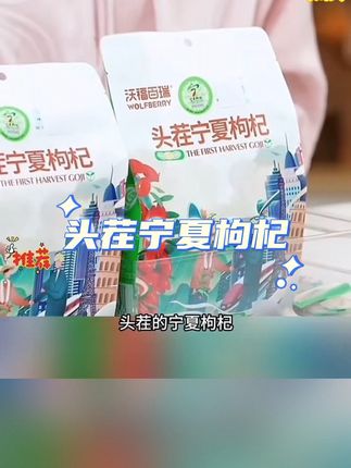 与辉同行 推荐【沃福百瑞】头茬宁夏地道枸杞 220g(10g*22小袋)*2袋+10g试#好物推荐🔥 枸杞#抖音美食推荐官
