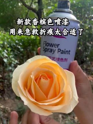 鲜花喷漆,花店必备#强烈推荐