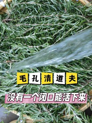 终于光滑了!掌管闭口毛孔的命脉水 #迷迭香纯露 #迷迭香的作用 #马鞭草酮迷迭香纯露#湿敷水#纯露