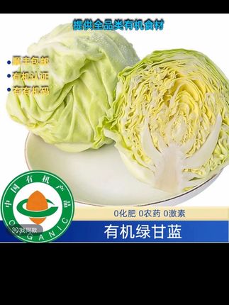 有机绿甘蓝3斤有机认证,低卡有机圆白菜卷心菜包菜有机甘蓝甘兰#家常菜 #下饭菜 #绿色蔬菜 #农产品 #新鲜蔬菜