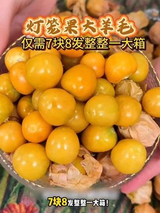 头茬菇凉果上市啦!香甜可口!赶快来试试吧!#菇凉果 #妈呀太香了 #薅羊毛的快乐 #应季水果