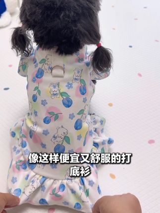 天气一天比一天冷,便宜好看又舒服的打底衫都给毛孩子安排了吗#狗狗衣服 #可牵引狗狗衣服