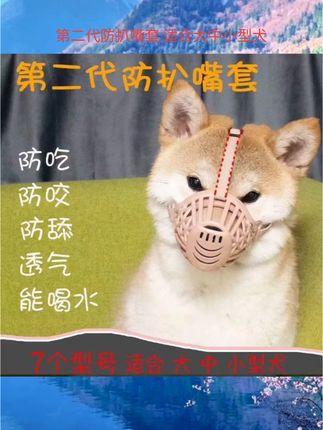 狗狗嘴罩防乱吃防舔乱咬叫防咬小型犬柯基泰迪宠物嘴罩口罩止吠器#宠物嘴罩#宠物用品#宠物知识