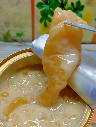 #滋栈 燕窝花胶,打开一碗满满都是料,肉眼可见的一整个大花胶,胶质感满满,快把奶茶换成它吧!#滋栈鲜炖花胶#滋栈花胶#杨枝甘露#营养
