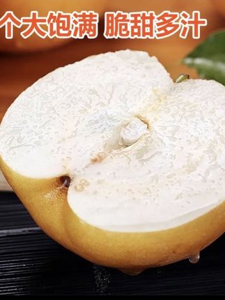 秋月梨正宗秋月梨冰糖梨批发现摘水果应季水果#优质农产品 #新鲜采摘 #当季水果 #水果挑选 #应季水果