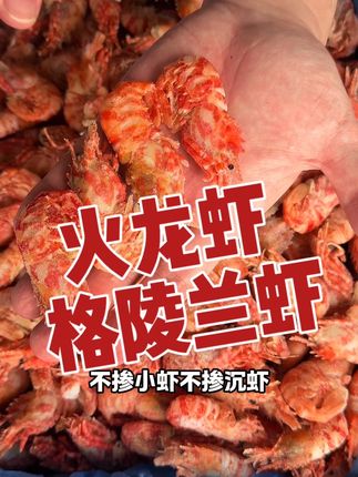 黑盒火龙虾凭什么火?比北极甜虾更鲜更甜,紧实鲜甜还带膏籽~#火龙虾 #格陵兰虾 #北极甜虾 #强烈推荐