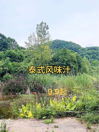 #户外 #泰式风味汁 汁浓入味,原来美味如此简单,泰式风味汁!