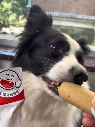 没有小狗不爱日和优宠的椰子鸡主食肠,营养美味,一定要给小狗尝尝。#元气软软主食肠#萌宠好物#狗狗主食肠 #宠物香肠 #新手养狗