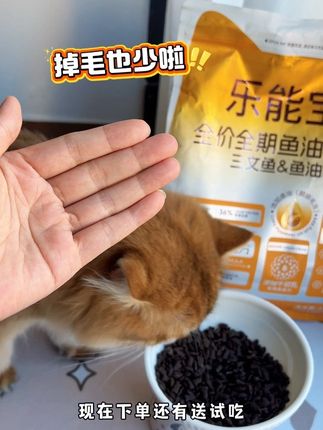 家里猫咪掉毛严重的都去试试乐能宝鱼油猫粮,三文鱼配方,还添加了鱼油,对猫咪毛发特别好,而且高肉高蛋白,猫咪吃了嘎嘎长肉,现在上新活动超给力噢!#萌宠 #科学养宠攻略 #猫粮 #乐能宝 #猫粮推荐