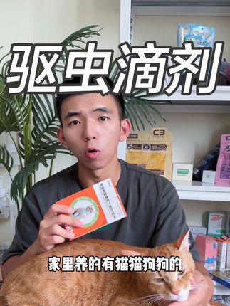 那些说不用给猫咪洗澡的,简直就不会养猫!#萌宠好物 #科学养宠攻略 #新手养猫