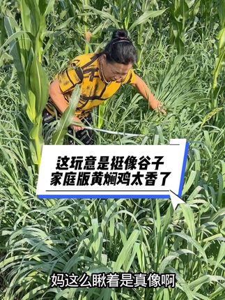 #我的乡村生活 #农村美食记录生活 #三农