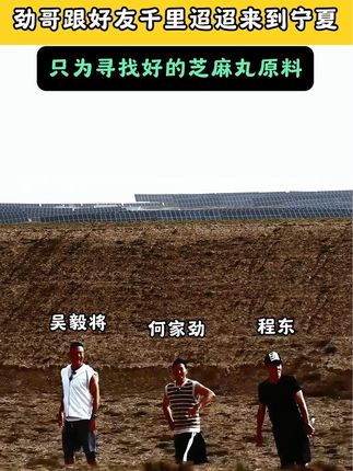 #何家劲 #劲家庄 #芝麻丸 #健康食品