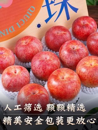 #口感特别好 #应季水果 新疆恐龙蛋李子新鲜应季水果非味帝大果酸甜红李2/5斤#红李子 #应季水果 #口感特别好