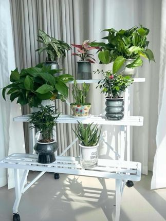 #花架 #移动多层花架置物架#庭院花架#客厅搭配 #家居好物