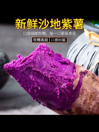 新鲜沙地紫薯地瓜 #创作灵感 #好物推荐🔥 #日常vlog #紫薯地瓜 #爱丽姐