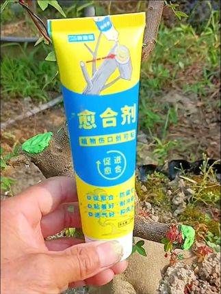 植物伤口愈合剂,树桩截面涂抹,预防伤口感染,防止水份流失,#好东西一起分享 #我的农村生活