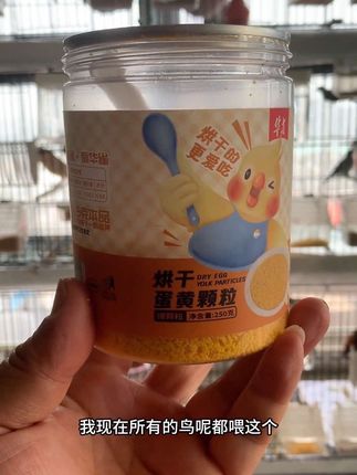 #热门 #养鸟#靛颏#养鸟经验分享