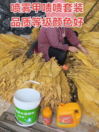 #抖音助农扶农 #甲啧啧 #全啧啧 #三农 #烤烟烘烤技术视频