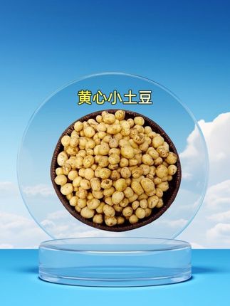 恩施黄心小土豆,粉糯清香也太好吃了吧!#小土豆#土豆#优质产品#黄心小土豆#妈呀太香了