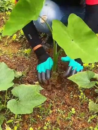 #创作灵感入口 园艺手套防刺防水带爪耐磨刨地拔草挖土专用园林种花种菜防护手套好东西一起分享@DOU+小助手